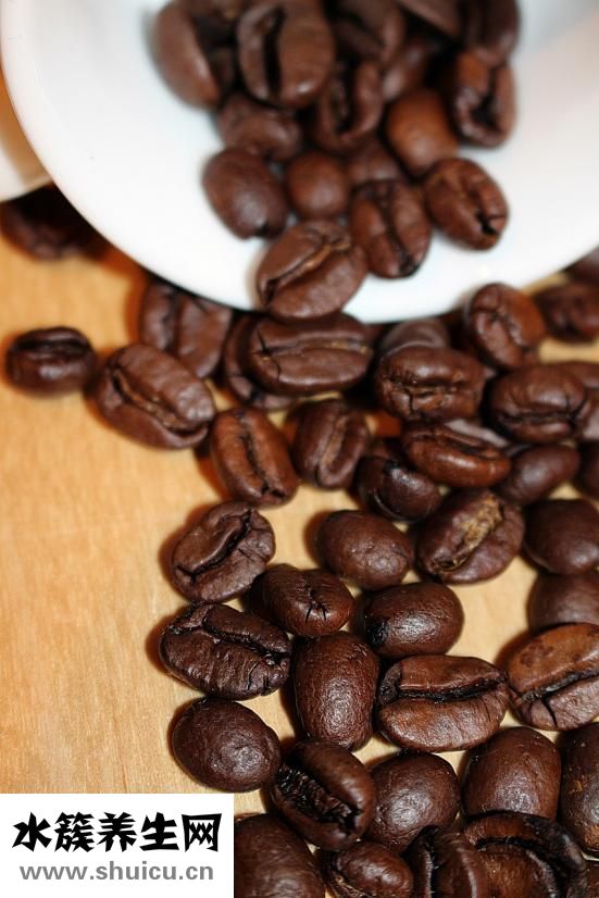 左旋咖啡怎么樣