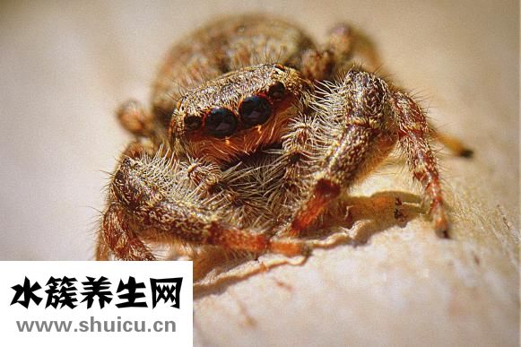 更年期如何治療