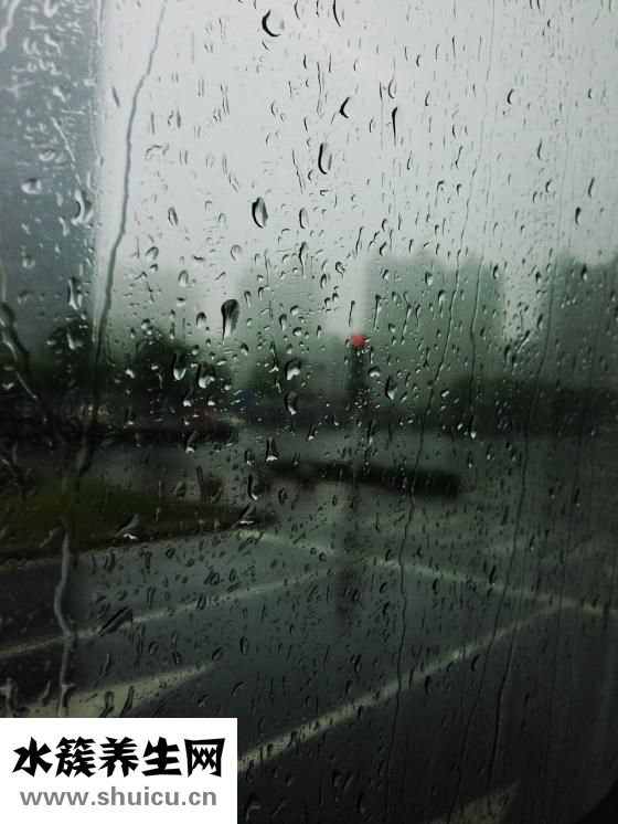 焦慮癥吃什么中藥