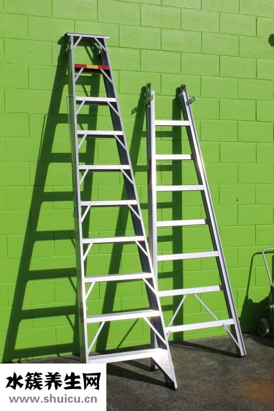 艾薇妮的被子怎么樣