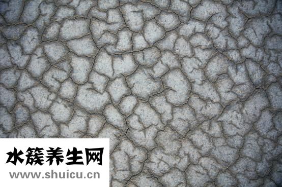 補水精華怎么樣用