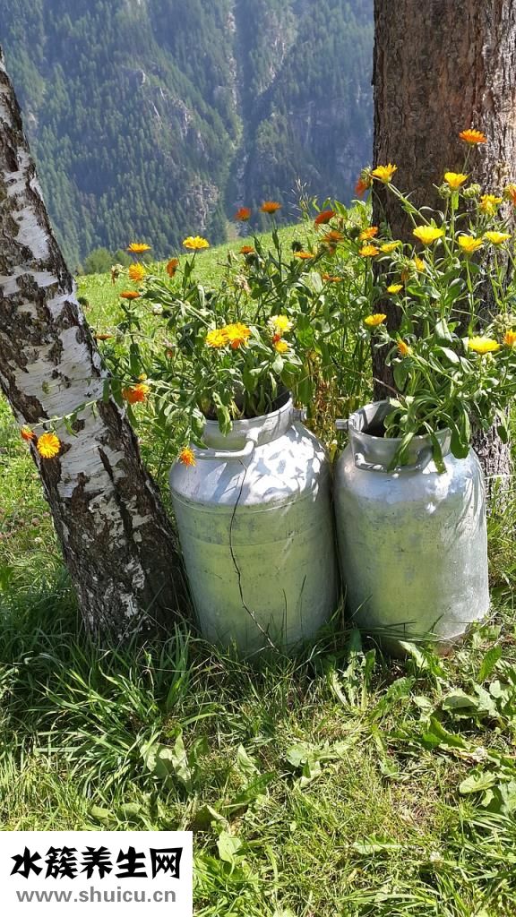 親點牛乳鈣怎么樣