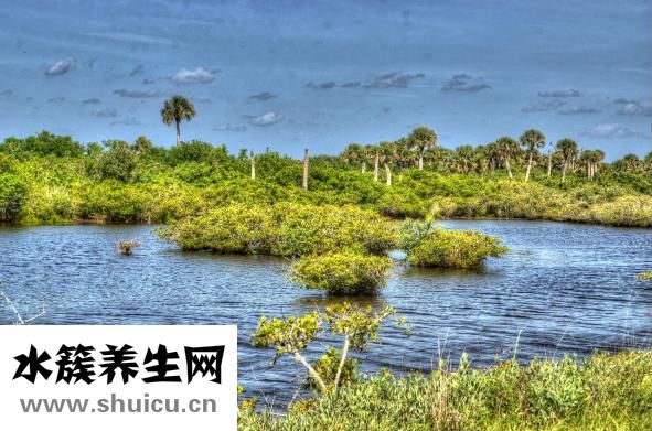 納維凱爾衣服怎么樣