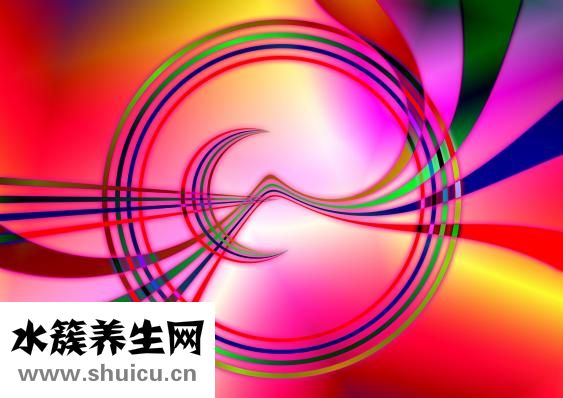 怎么樣有效的減肥