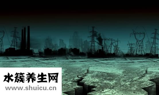 水養富貴竹怎么養