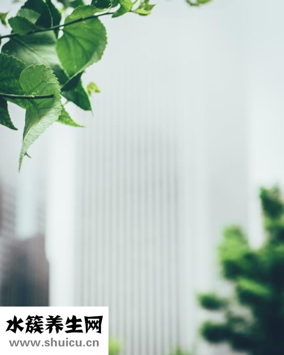 怎么樣使頭發變黑