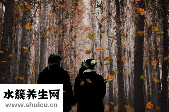 怎么樣煮粥流程