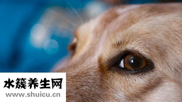 閔寶權(quán)怎么樣