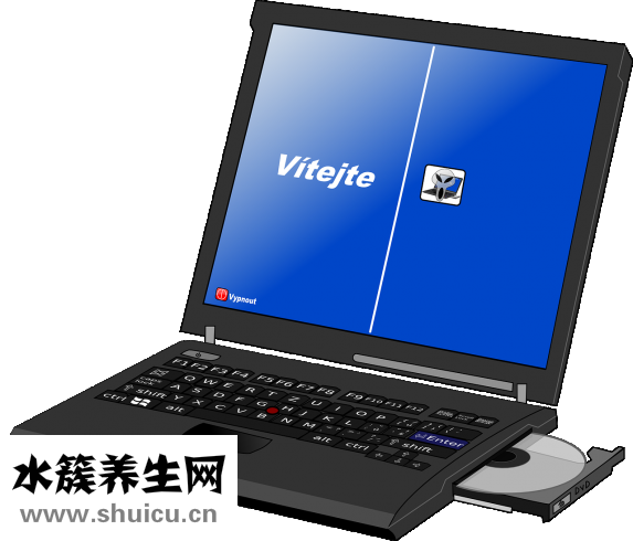 什么樣的綠茶好