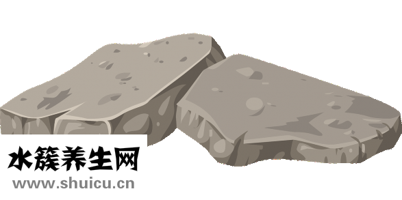 骨肉相連怎么做