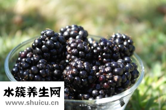 亦貝安水蘇糖怎么樣