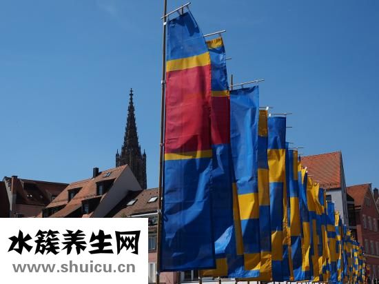 腳踝韌帶拉傷怎么辦