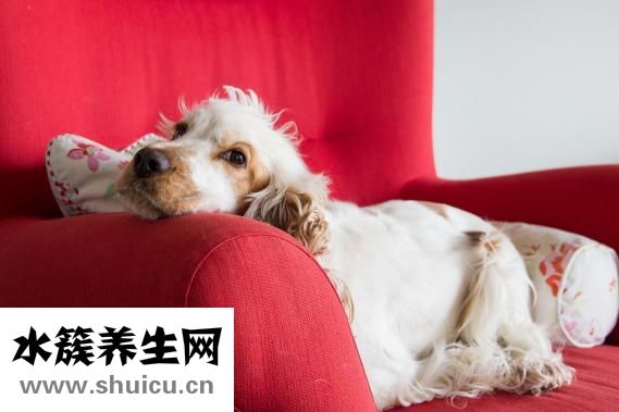 新生兒濕疹怎么治