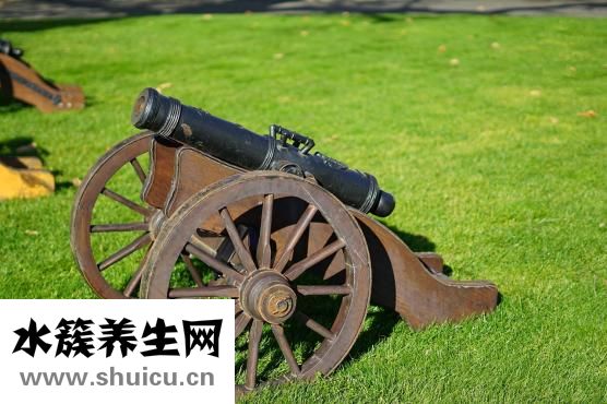 冠心病人吃什么好