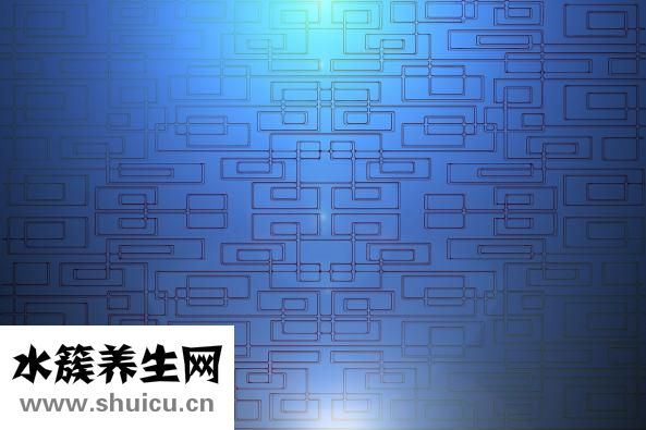 黃芪破壁飲片怎么樣