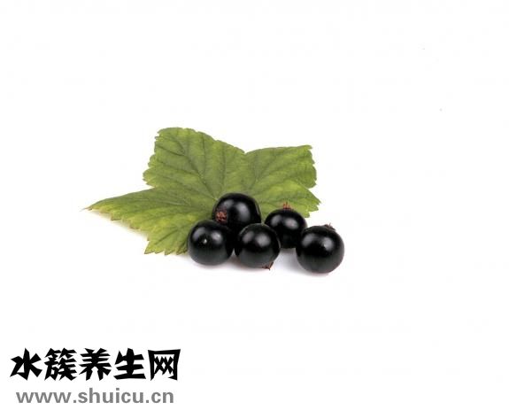 如何快速健康的減肥