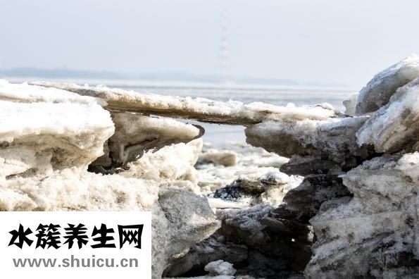 南極人護膝怎么樣