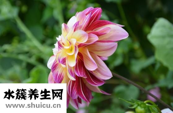 金東海集團(tuán)怎么樣