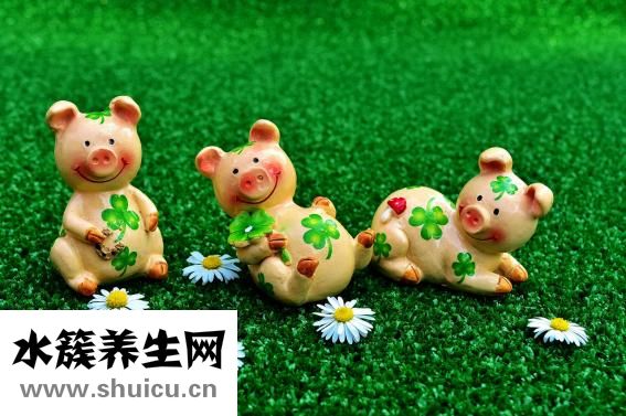 華嚴(yán)北里怎么樣