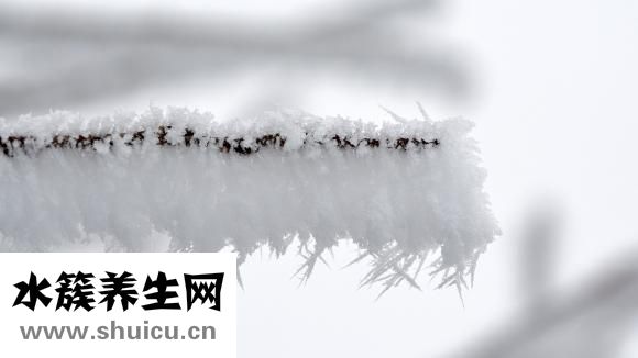 維妥立魚肝油怎么樣