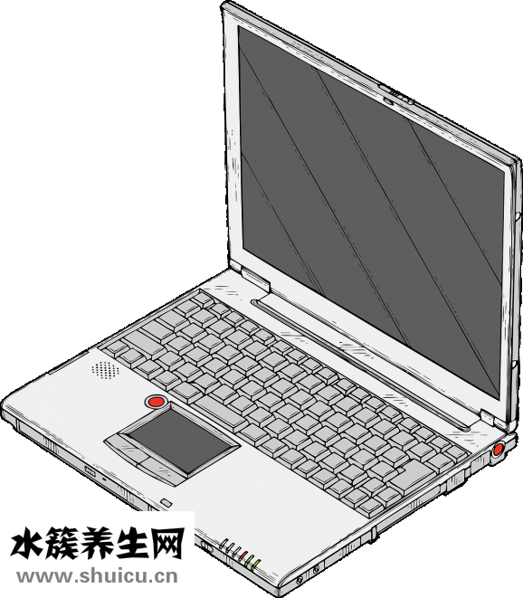 什么樣的綠茶好