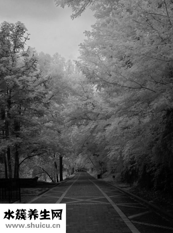 太平鳥的大衣怎么樣