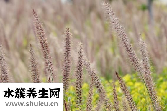 什么是工作性質