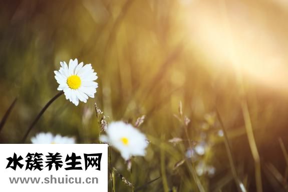 臉上長紅血絲怎么辦