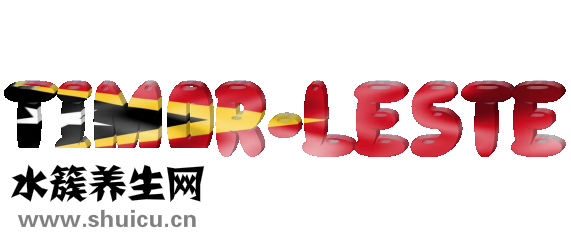 樂天慧智媽咪怎么樣