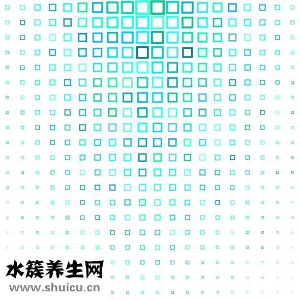 穿青人是什么民族