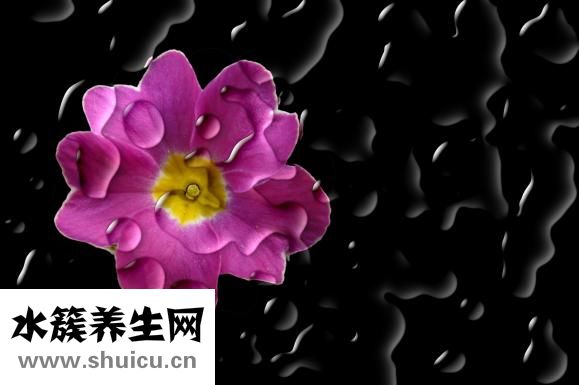 耳一號(hào)耳機(jī)怎么樣