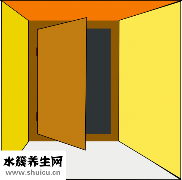 素派淡印精華怎么樣