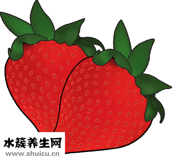 藍色鱷魚藥片怎么樣