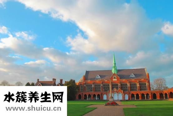 怎么樣贊美醫(yī)生