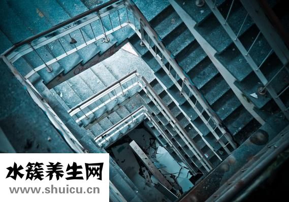 藏秘眼中金怎么樣