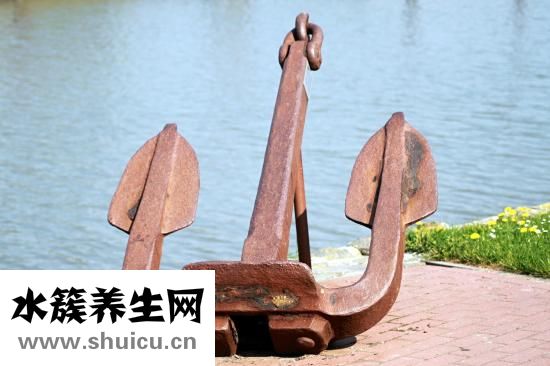 小浣熊嬰兒霜怎么樣