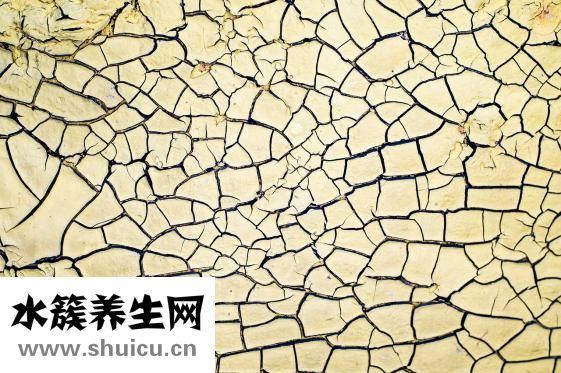 阻生牙不拔會怎么樣