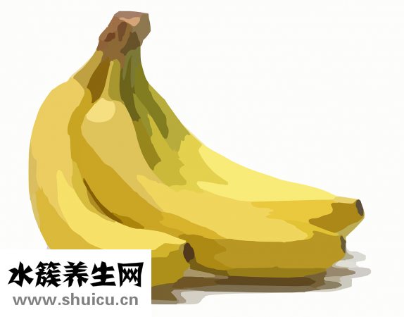 失眠吃什么水果好