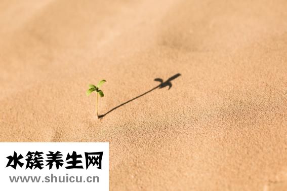 臉上長紅血絲怎么辦