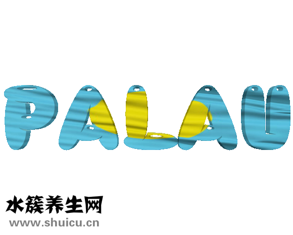 山鷹體重秤怎么樣