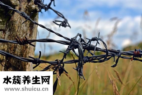 樂天慧智媽咪怎么樣