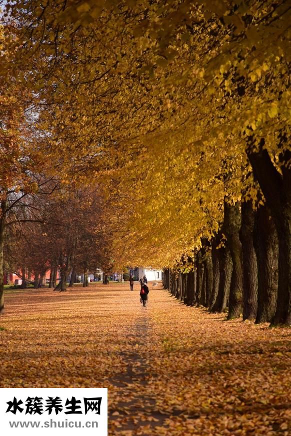 冬季皮膚干燥怎么辦