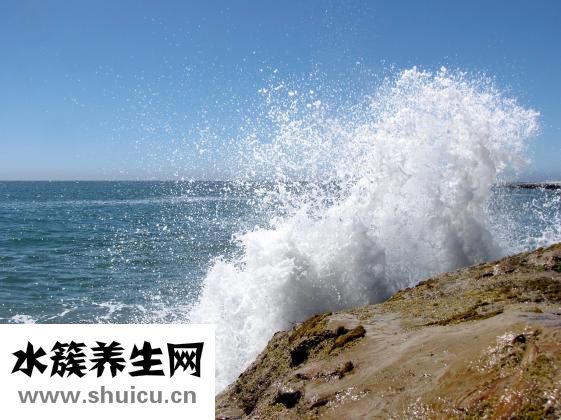 巧虎早教怎么樣