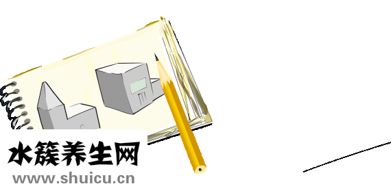 死間計劃是什么