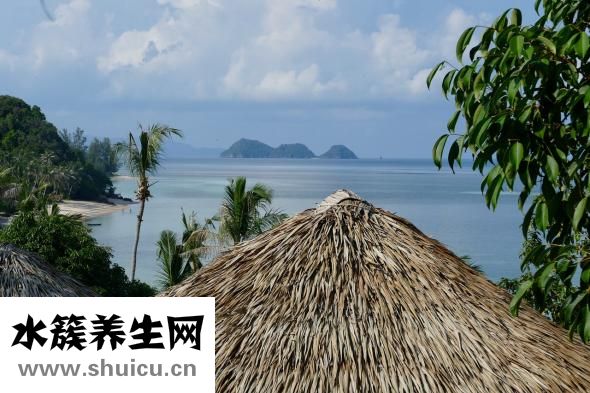 不銹鋼拉手怎么樣