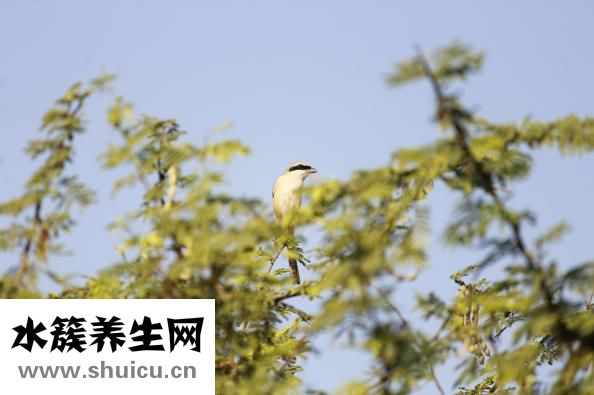 冬季皮膚干燥怎么辦