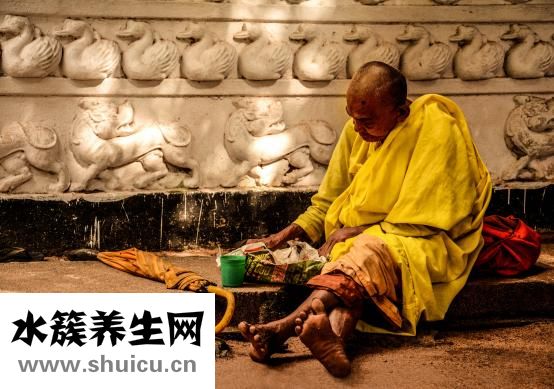 泰迪吃飯會怎么樣