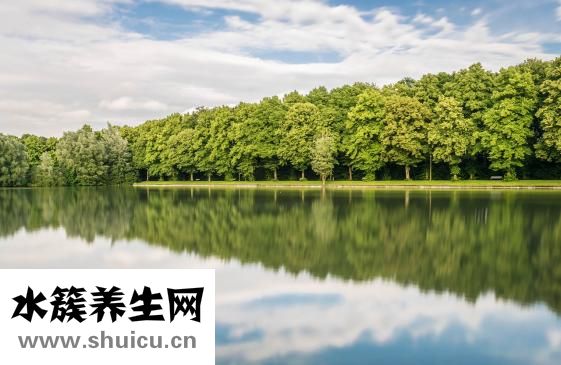 生態(tài)棉的尿布怎么樣