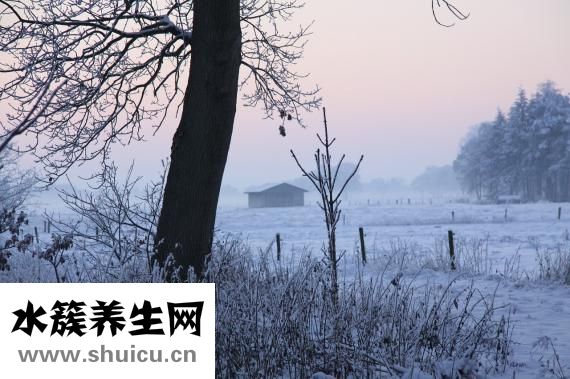 紅豆保暖內衣怎么樣