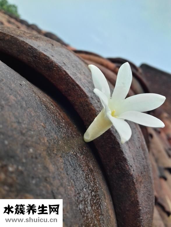 怎么樣可以失去嗅覺